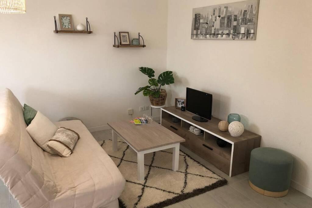Cosy Avec Jardin A Blagnac. Blagnac
