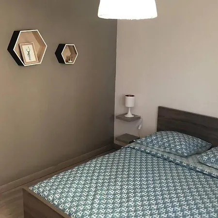 Appartement Cosy Avec Jardin A Blagnac. Exterior photo